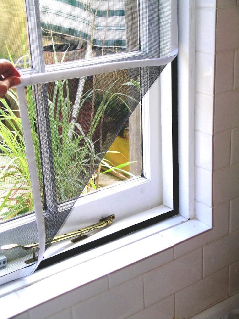 best window fly screen for cats